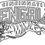 Raskrasil.com-Coloring-Pages-Bengals-9