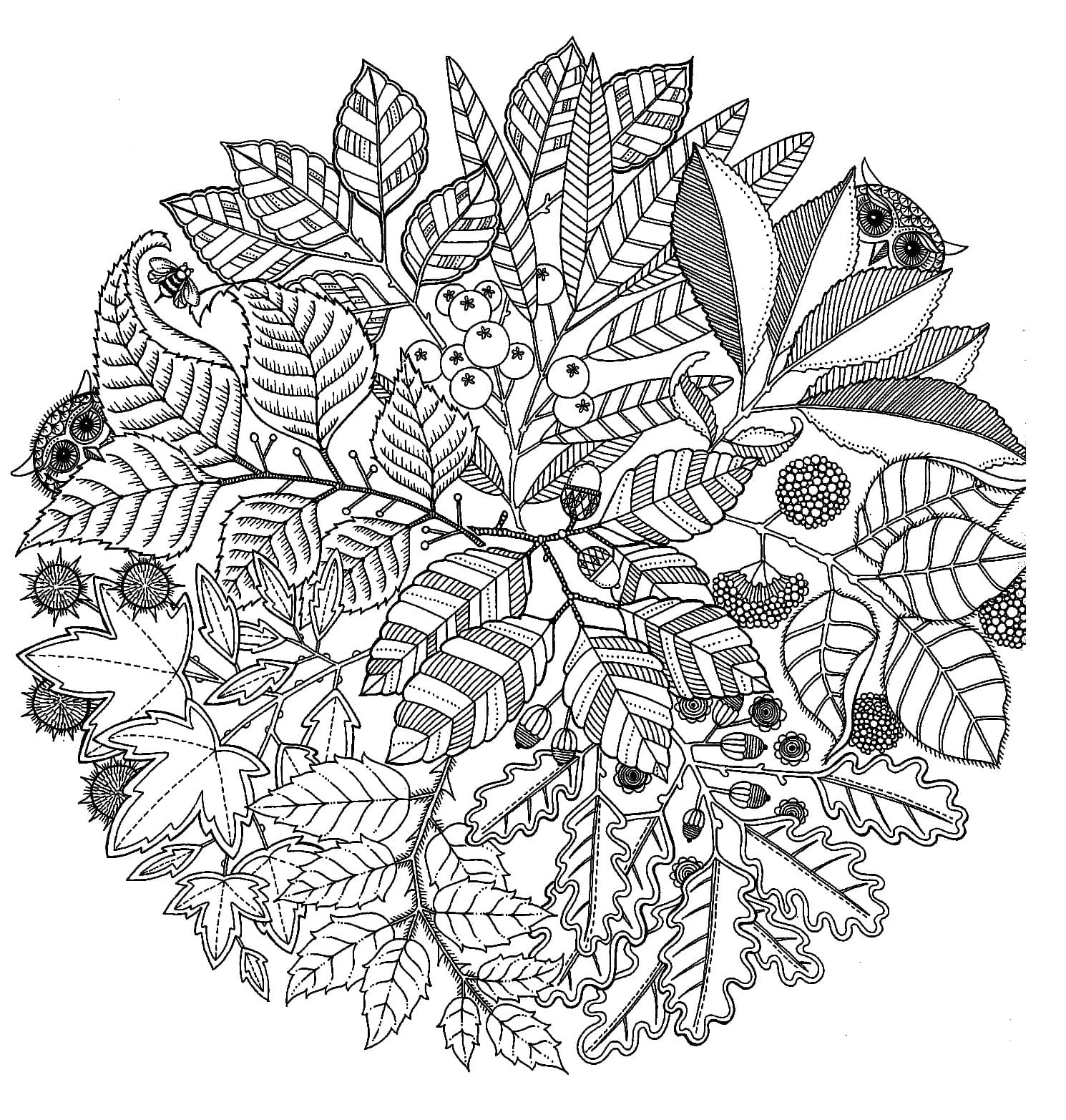Raskrasil.com-Coloring-Pages-Flowers-Mandala-53