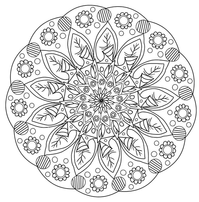 Desenhos de Mandalas Florais para Colorir