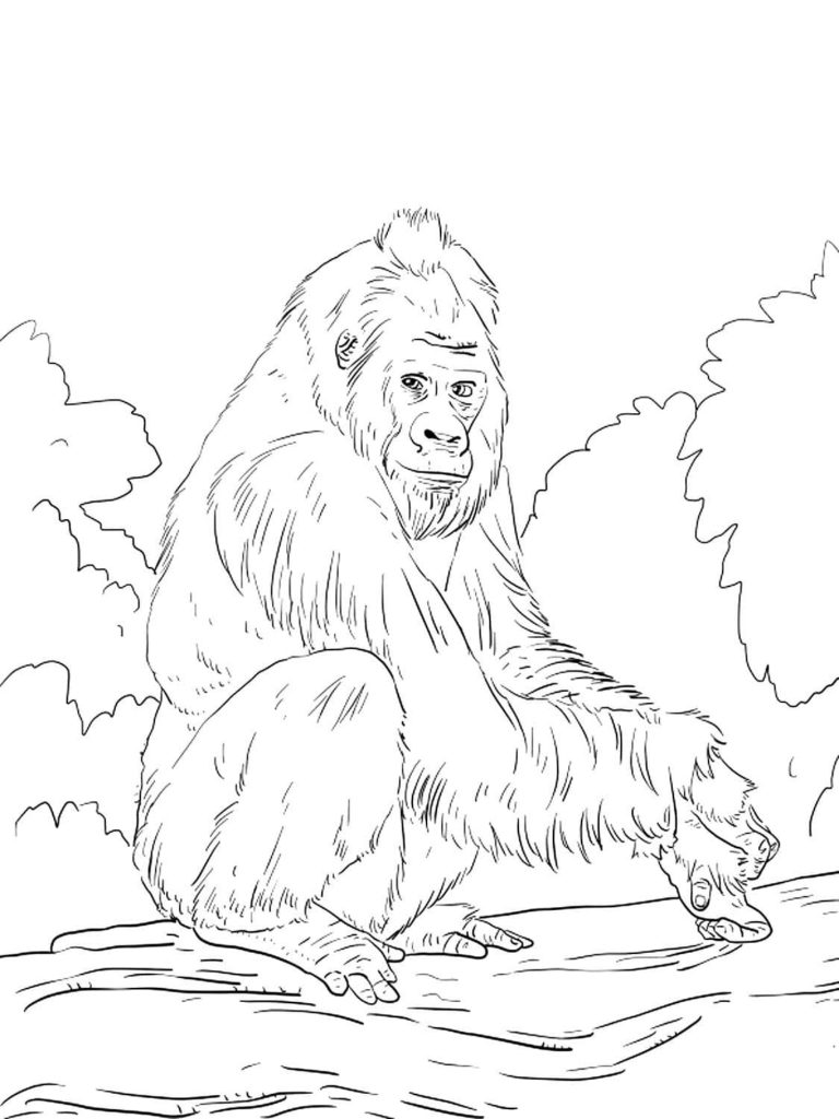 Dibujos De Gorila Para Colorear dibujos-de-gorila-para-colorear
