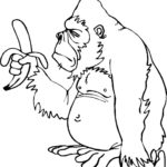 Raskrasil.com-Coloring-Pages-Gorilla-12