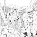 Raskrasil.com-Coloring-Pages-Gorilla-13