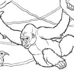 Raskrasil.com-Coloring-Pages-Gorilla-18