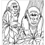 Raskrasil.com-Coloring-Pages-Gorilla-24