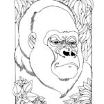 Raskrasil.com-Coloring-Pages-Gorilla-28