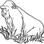 Raskrasil.com-Coloring-Pages-Gorilla-32