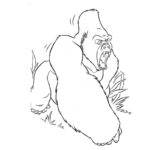 Raskrasil.com-Coloring-Pages-Gorilla-34