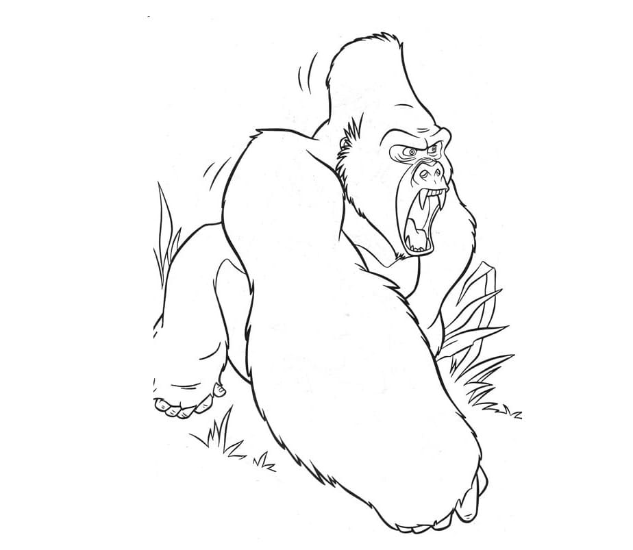 Raskrasil.com-Coloring-Pages-Gorilla-34