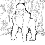 Raskrasil.com-Coloring-Pages-Gorilla-51