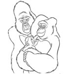 Raskrasil.com-Coloring-Pages-Gorilla-53