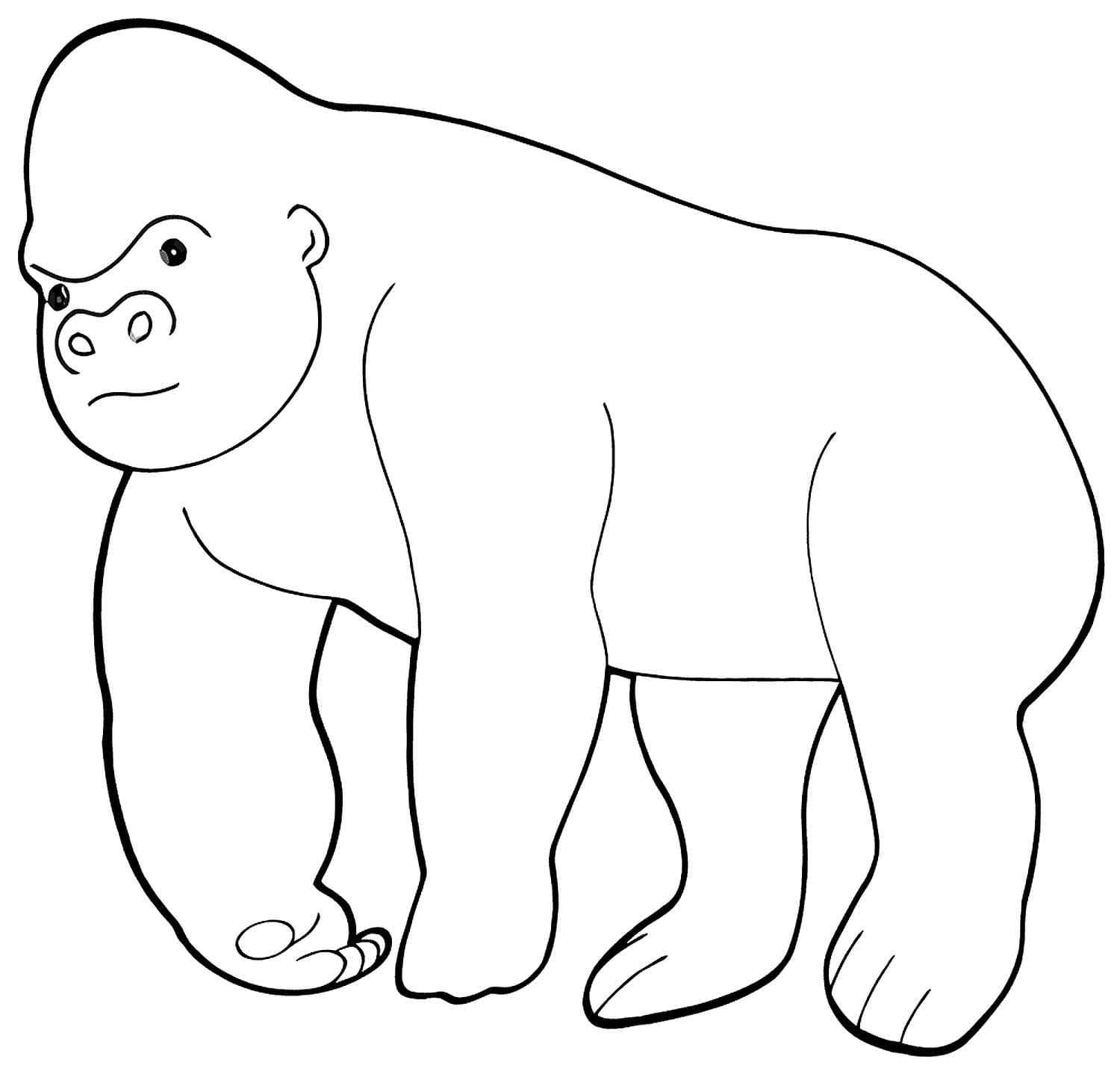 Raskrasil.com-Coloring-Pages-Gorilla-57