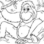 Raskrasil.com-Coloring-Pages-Gorilla-62