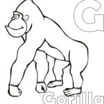 Previous Attachment