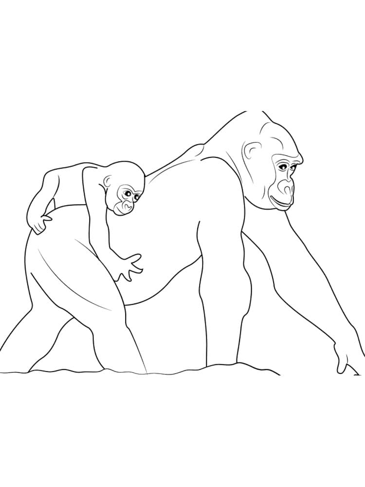 Raskrasil.com-Coloring-Pages-Gorilla-69