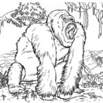Raskrasil.com-Coloring-Pages-Gorilla-7