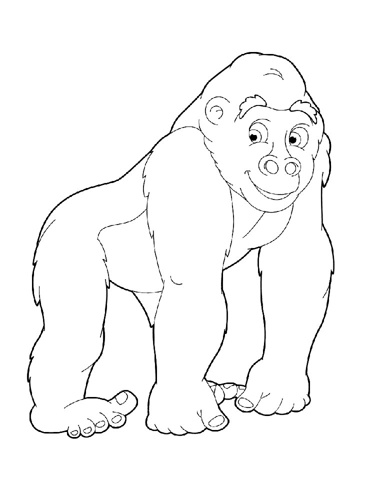 Raskrasil.com-Coloring-Pages-Gorilla-81