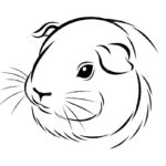 Raskrasil.com-Coloring-Pages-Guinea-Pig-12