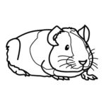 Raskrasil.com-Coloring-Pages-Guinea-Pig-13