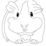 Raskrasil.com-Coloring-Pages-Guinea-Pig-15