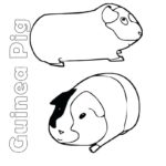 Raskrasil.com-Coloring-Pages-Guinea-Pig-23