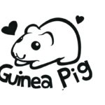 Raskrasil.com-Coloring-Pages-Guinea-Pig-25