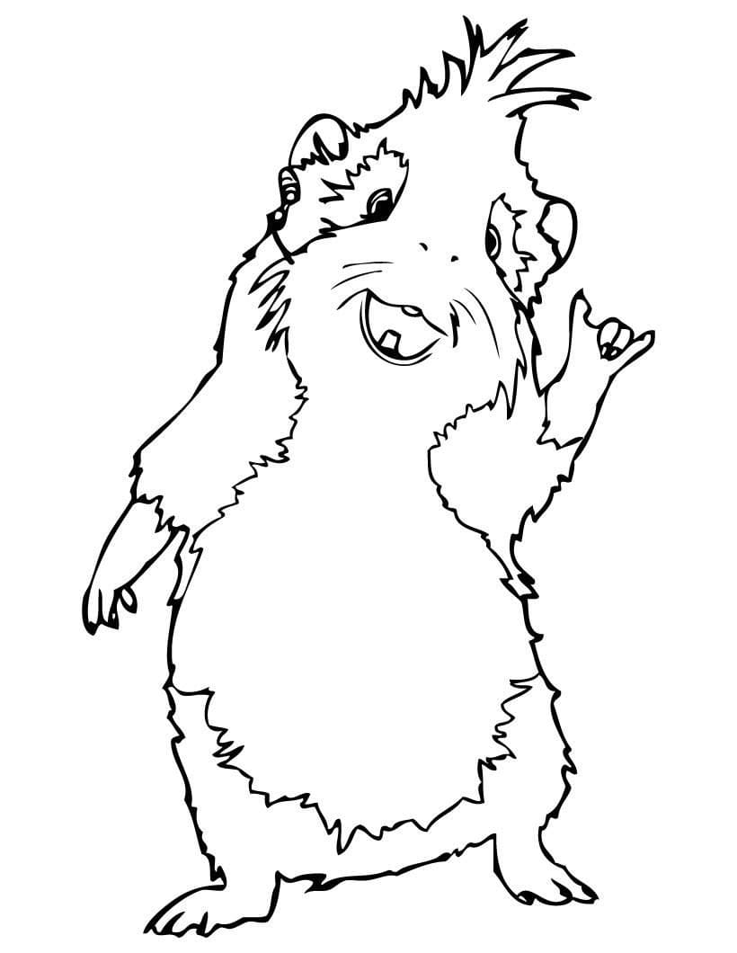 Raskrasil.com-Coloring-Pages-Guinea-Pig-29