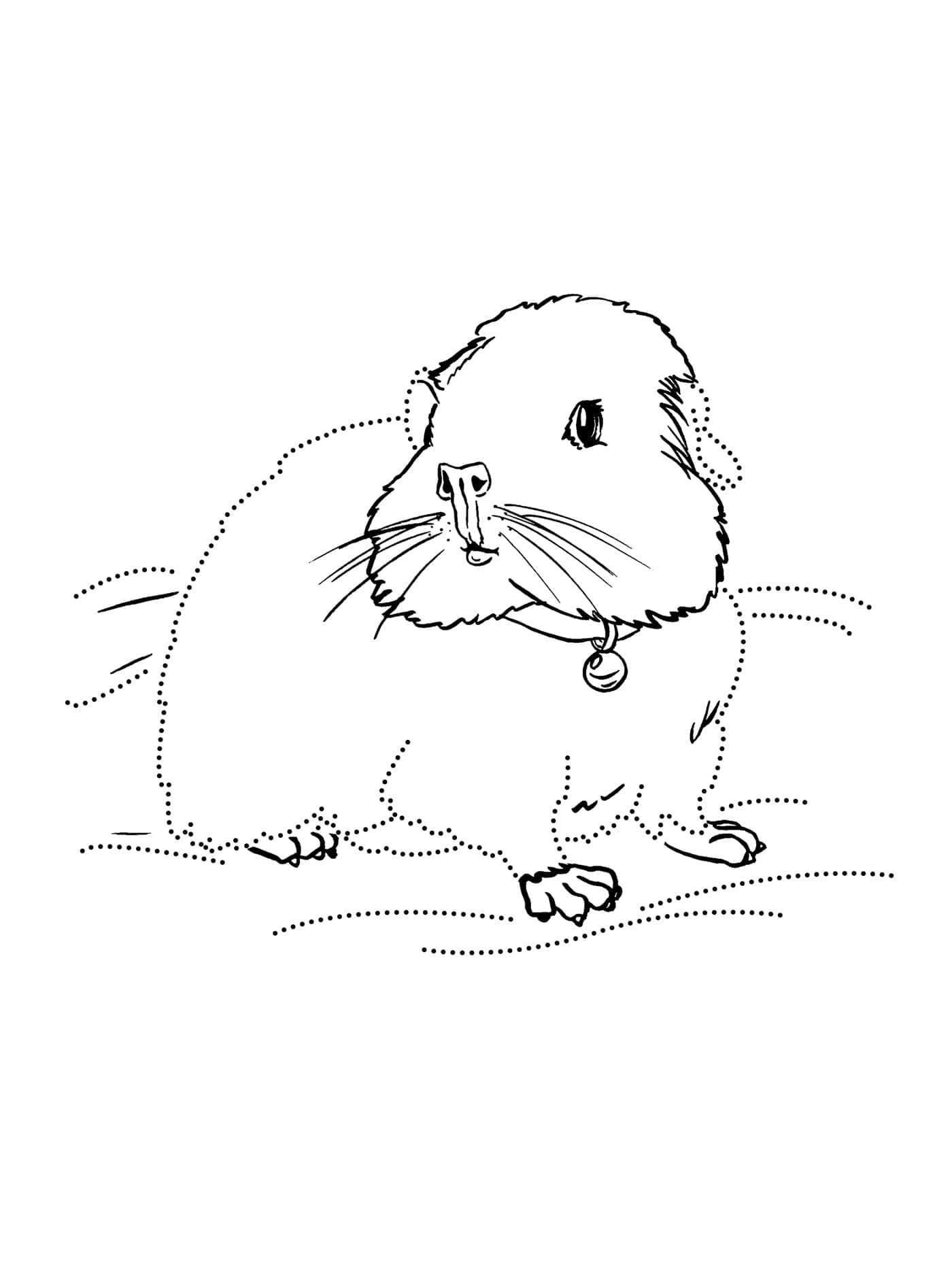 Raskrasil.com-Coloring-Pages-Guinea-Pig-30