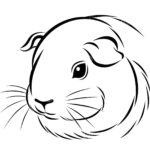 Raskrasil.com-Coloring-Pages-Guinea-Pig-31