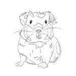 Raskrasil.com-Coloring-Pages-Guinea-Pig-34
