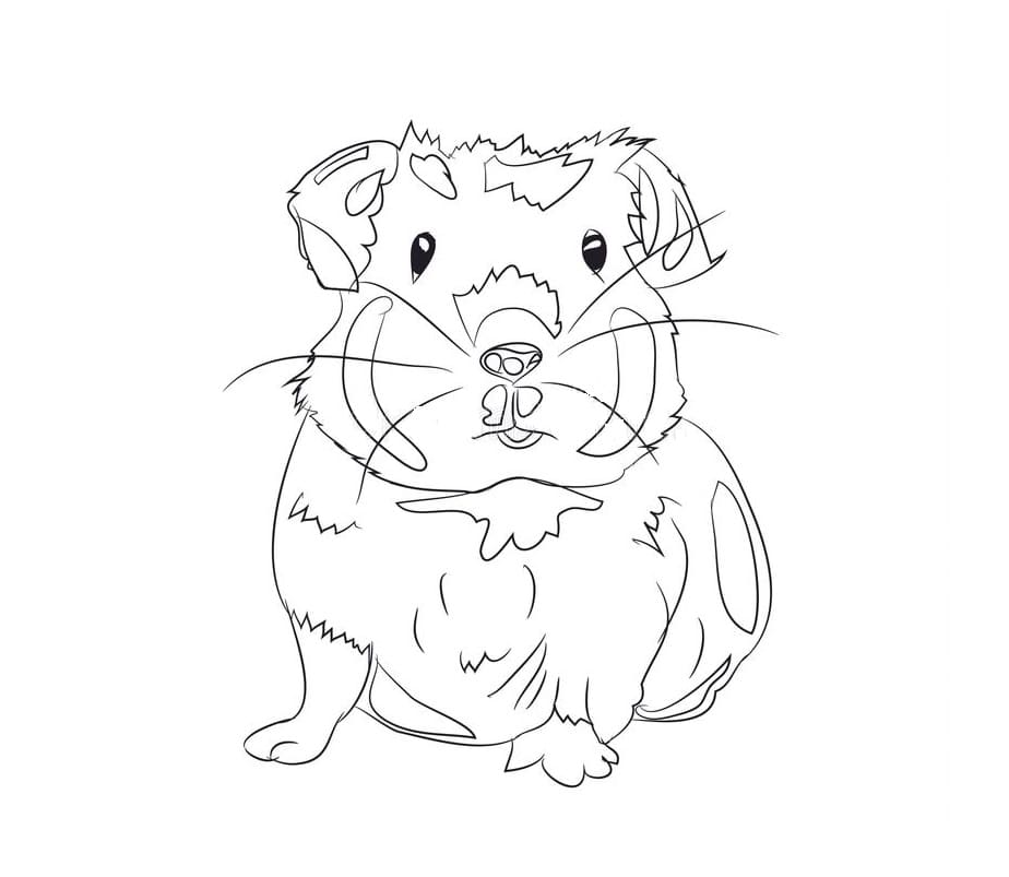 Raskrasil.com-Coloring-Pages-Guinea-Pig-34