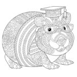 Raskrasil.com-Coloring-Pages-Guinea-Pig-35