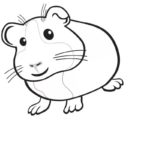 Raskrasil.com-Coloring-Pages-Guinea-Pig-39