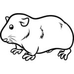 Raskrasil.com-Coloring-Pages-Guinea-Pig-4