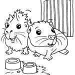 Raskrasil.com-Coloring-Pages-Guinea-Pig-7