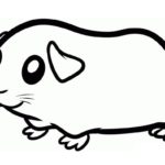 Raskrasil.com-Coloring-Pages-Guinea-Pig-9