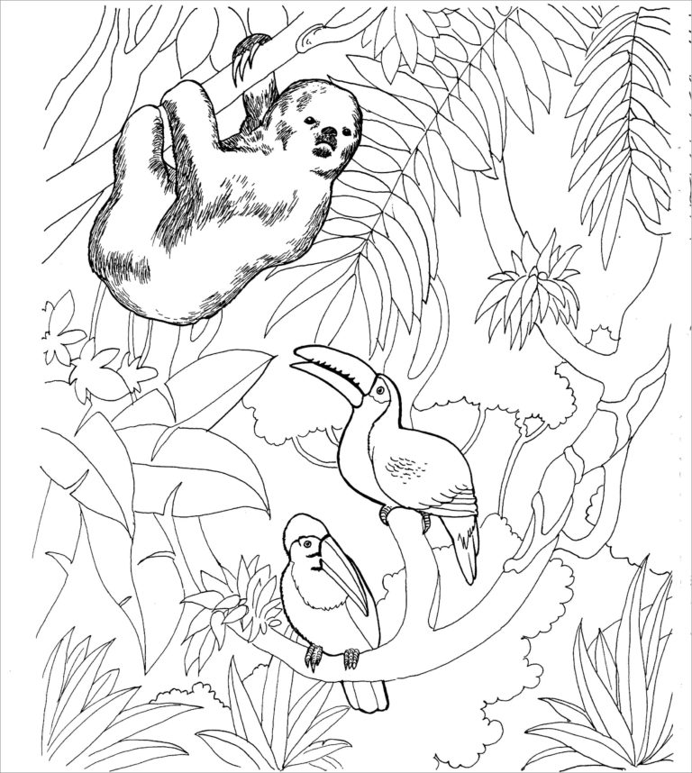 Dibujos de Animales de la Selva para Colorear