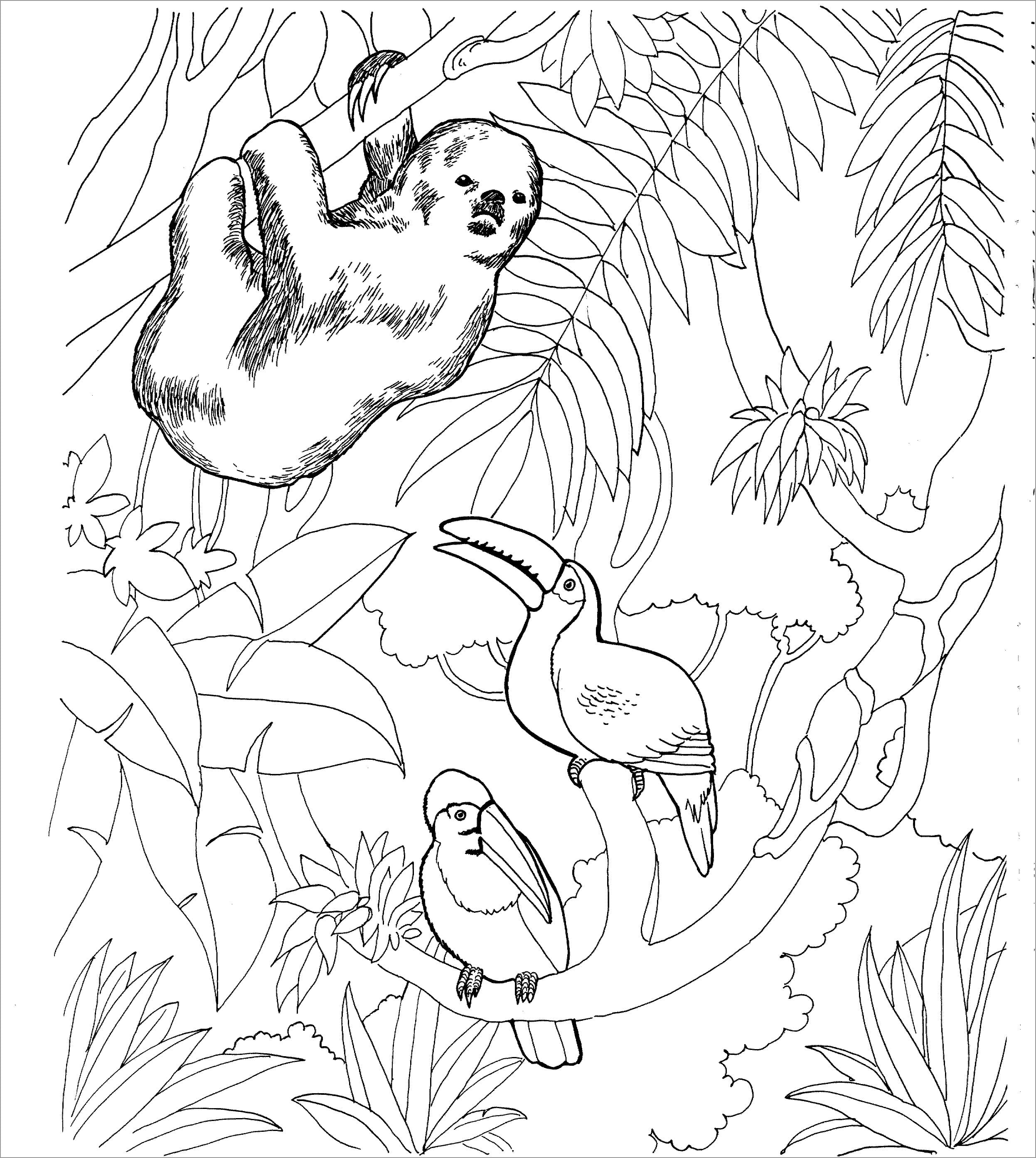Raskrasil.com-Coloring-Pages-Jungle-Animals-15