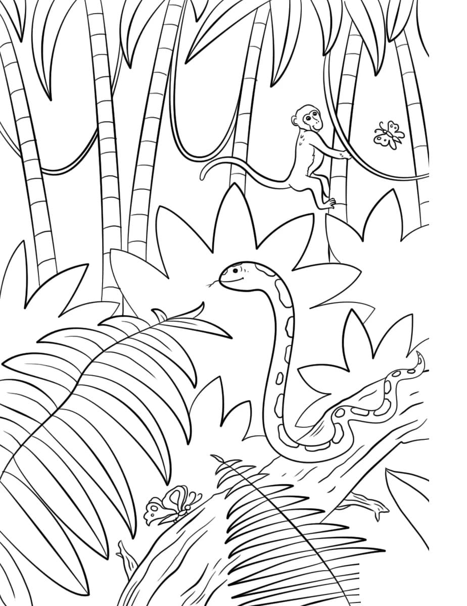 Raskrasil.com-Coloring-Pages-Jungle-Animals-22