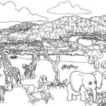 Raskrasil.com-Coloring-Pages-Jungle-Animals-24