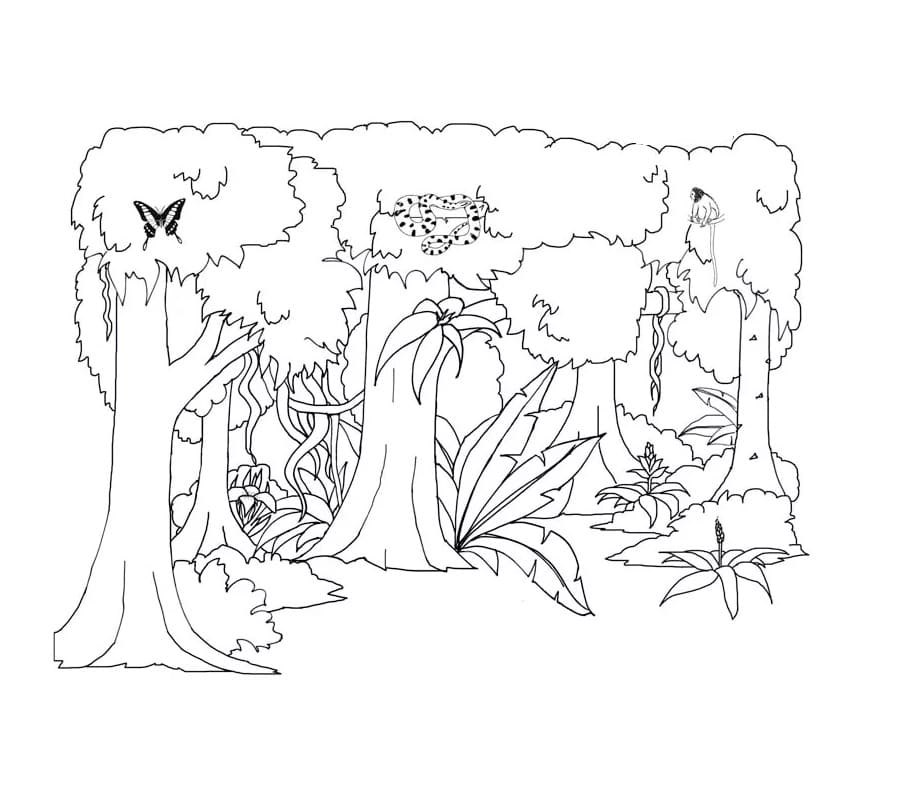 Raskrasil.com-Coloring-Pages-Jungle-Animals-26