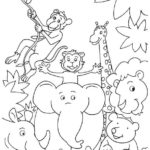 Raskrasil.com-Coloring-Pages-Jungle-Animals-3