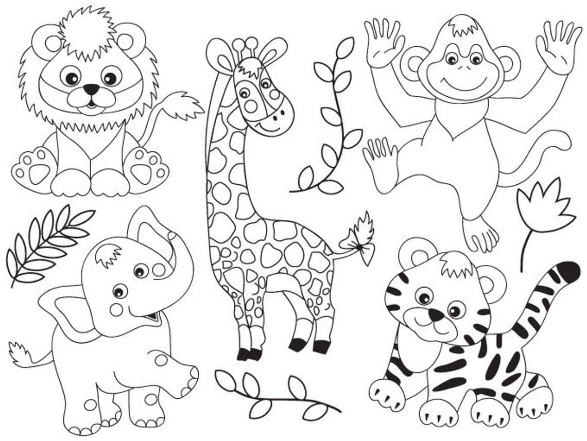 Raskrasil.com-Coloring-Pages-Jungle-Animals-32