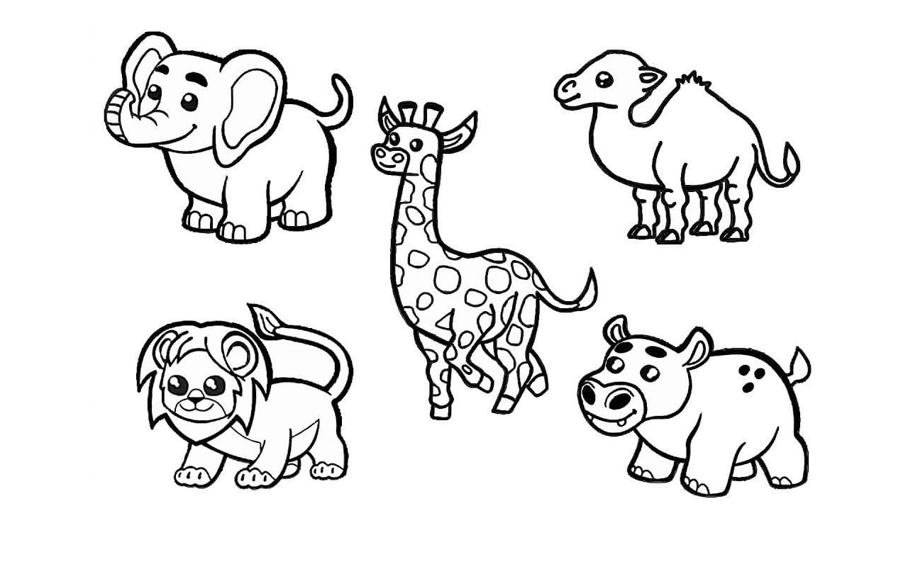 Raskrasil.com-Coloring-Pages-Jungle-Animals-33