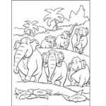 Raskrasil.com-Coloring-Pages-Jungle-Animals-34