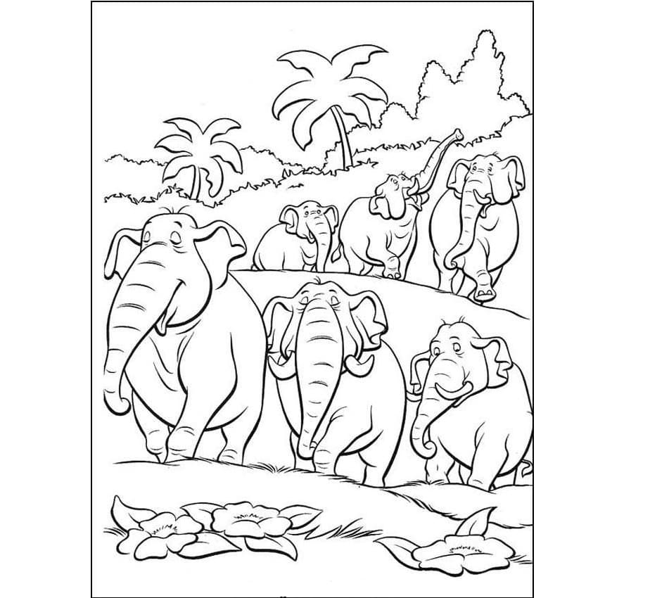 Raskrasil.com-Coloring-Pages-Jungle-Animals-34