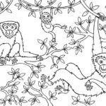Raskrasil.com-Coloring-Pages-Jungle-Animals-35