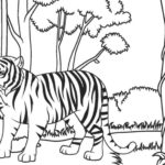Raskrasil.com-Coloring-Pages-Jungle-Animals-36