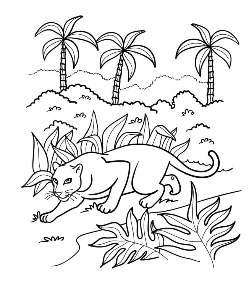 Raskrasil.com-Coloring-Pages-Jungle-Animals-37