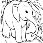Raskrasil.com-Coloring-Pages-Jungle-Animals-39