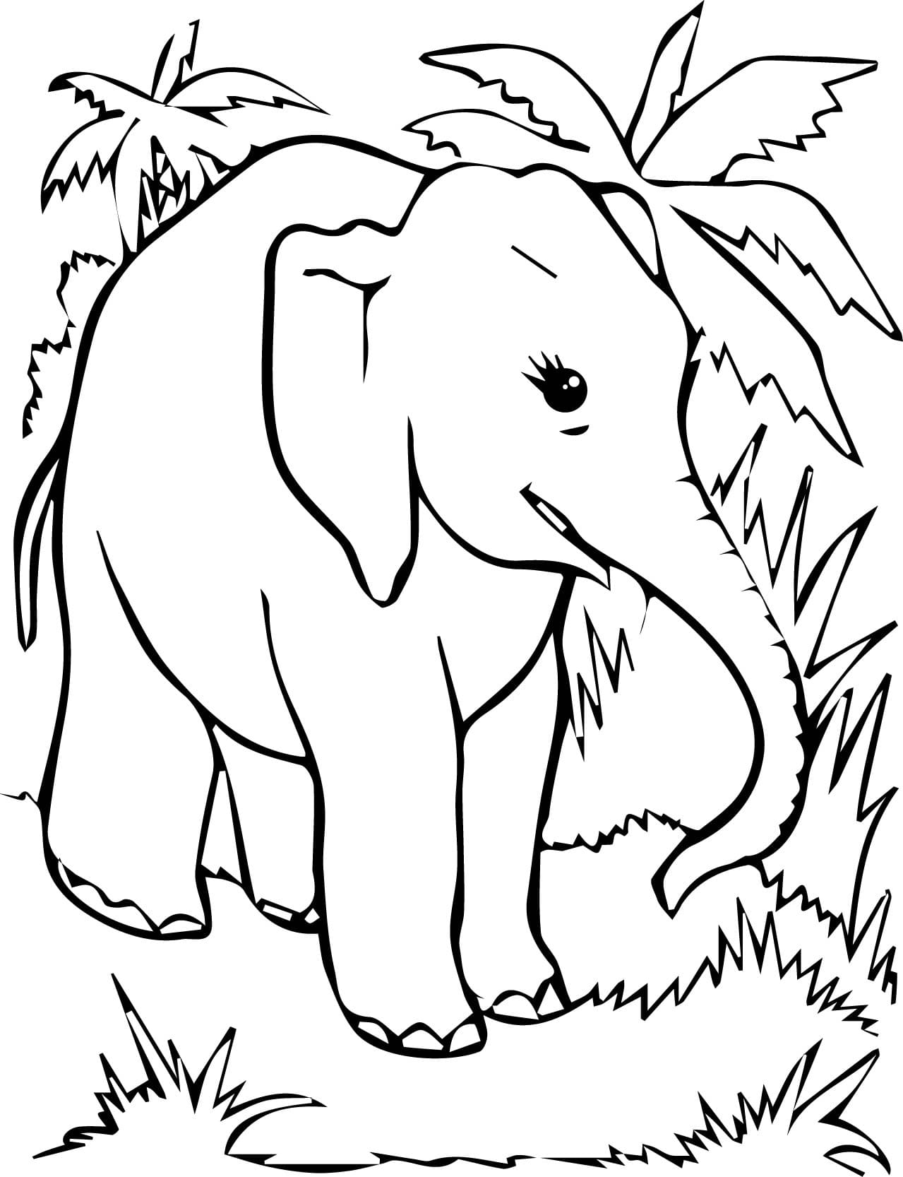 Raskrasil.com-Coloring-Pages-Jungle-Animals-39